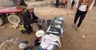 ইসরাইলি বিধিনিষেধে বিপর্যস্ত গাজার জেলে, চড়া মাছের দাম